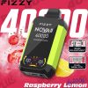 Fizzy 40,000 Puffs Disposable Vape with Mesh Coil & Custom Airflow