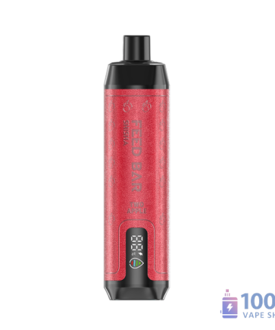 Vapsolo Feed Bar 15000 Disposable Vape - Rechargeable Shisha Type with 15000 Puffs