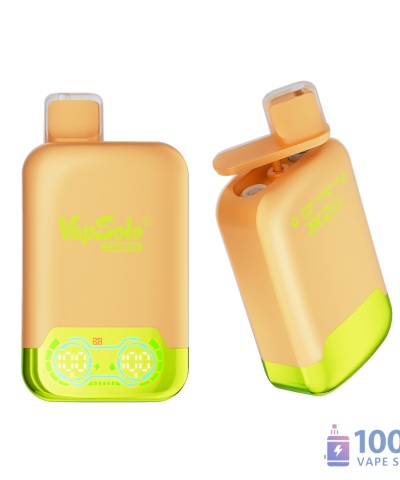 Vapsolo Twins 20000 Disposable Vape | Dual Flavors & 20K Puffs