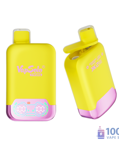 Alternative view of Vapsolo Twins 20000 Disposable Vape | Dual Flavors & 20K Puffs